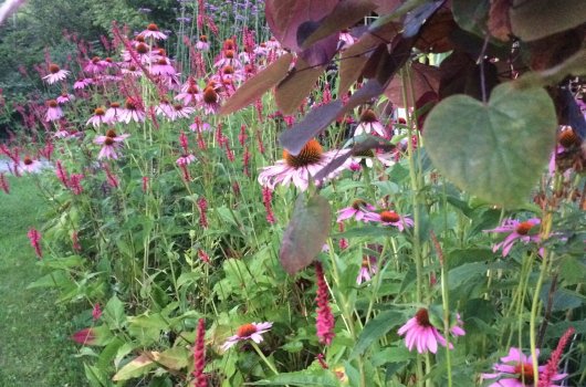 Blumen