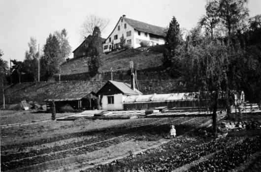 Geschichte