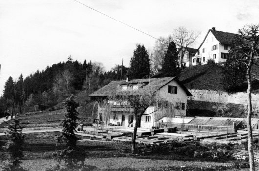 Geschichte