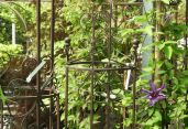 DSCN0551.jpg